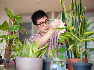 3 reasons why the growing plant is a great relief of stress
