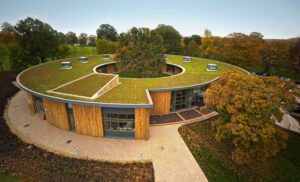 4 Reasons Green Roofs Do A Building Good