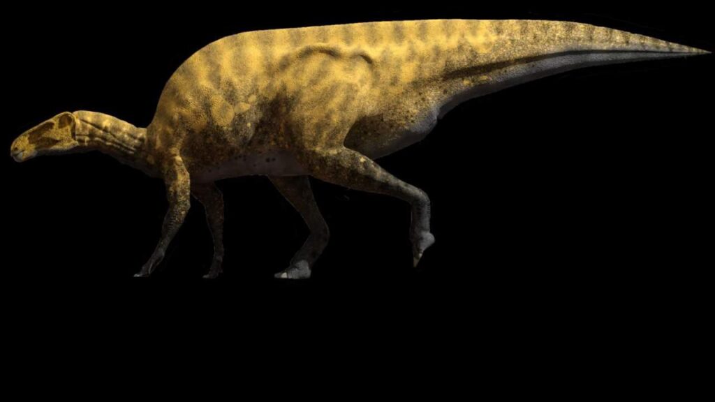 Paleontologists describe a new dinosaur similar to an iguanodon