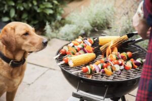 side effects of Barbecue Salt on dogs
