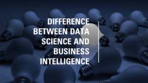 What is the difference between a data scientist and a business intelligence analyst?