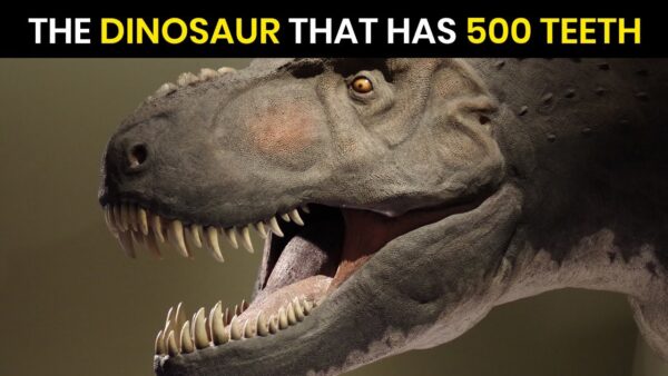 what dinosaur has 500 teeth